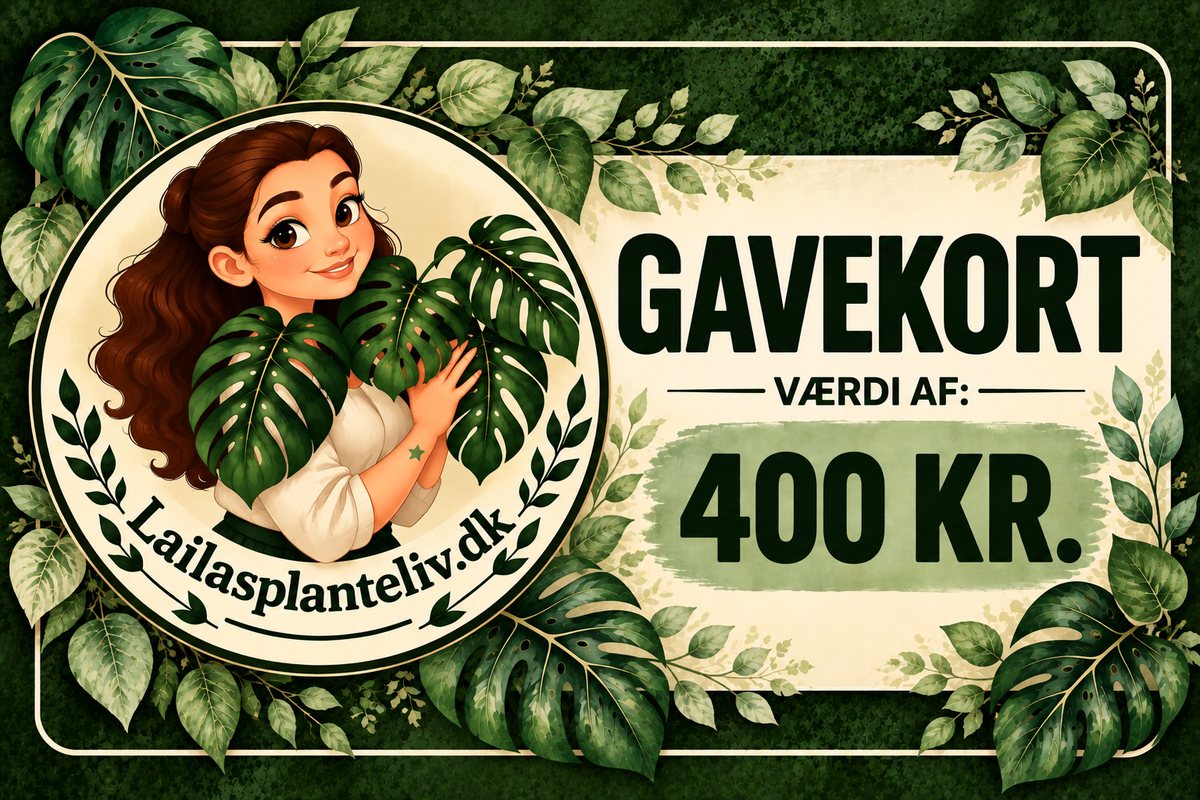 Gavekort