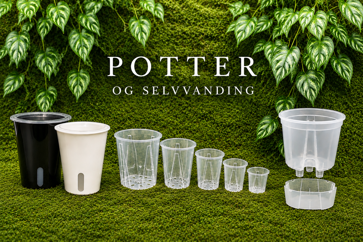 Potter og Selvvanding