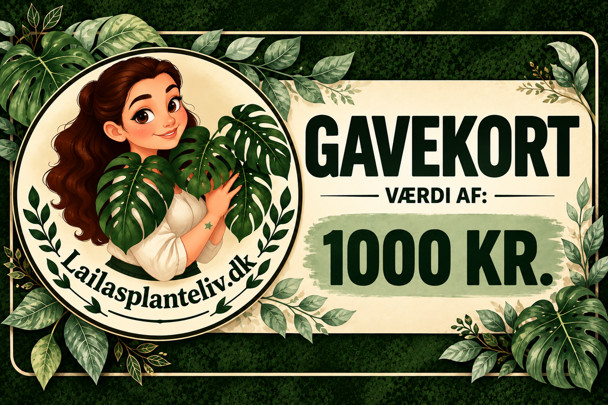Gavekort
