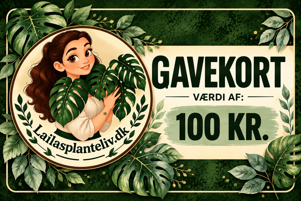 Gavekort