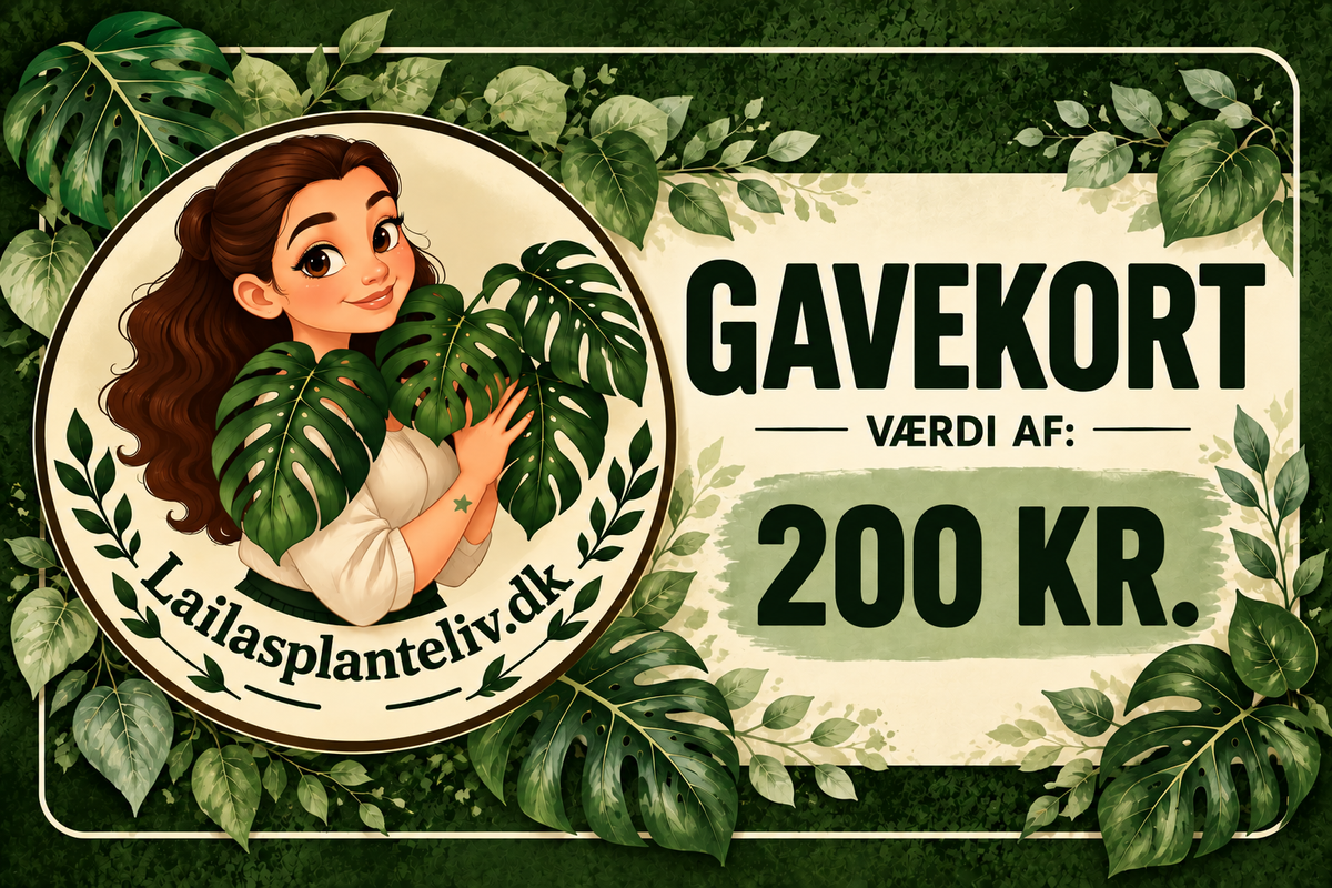 Gavekort