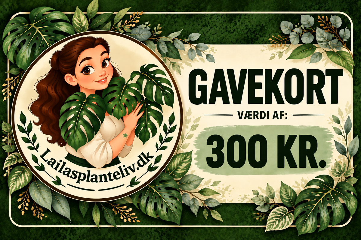 Gavekort