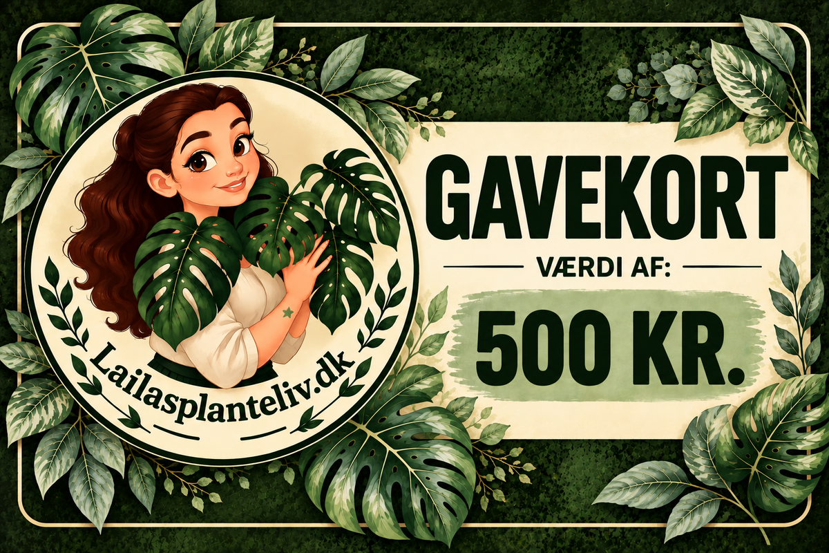 Gavekort